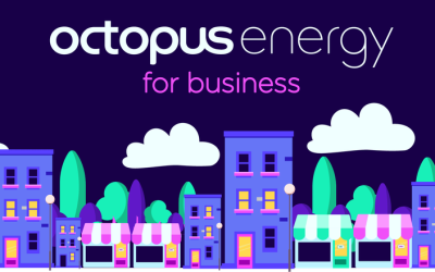 Octopus Energy Business Referral Code: Get a £100 Credit and Cut Costs