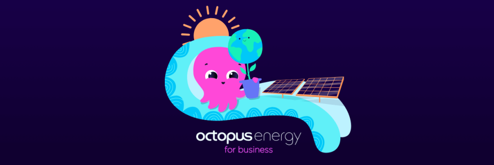 Octopus Business Energy Guide: How to Switch and Save