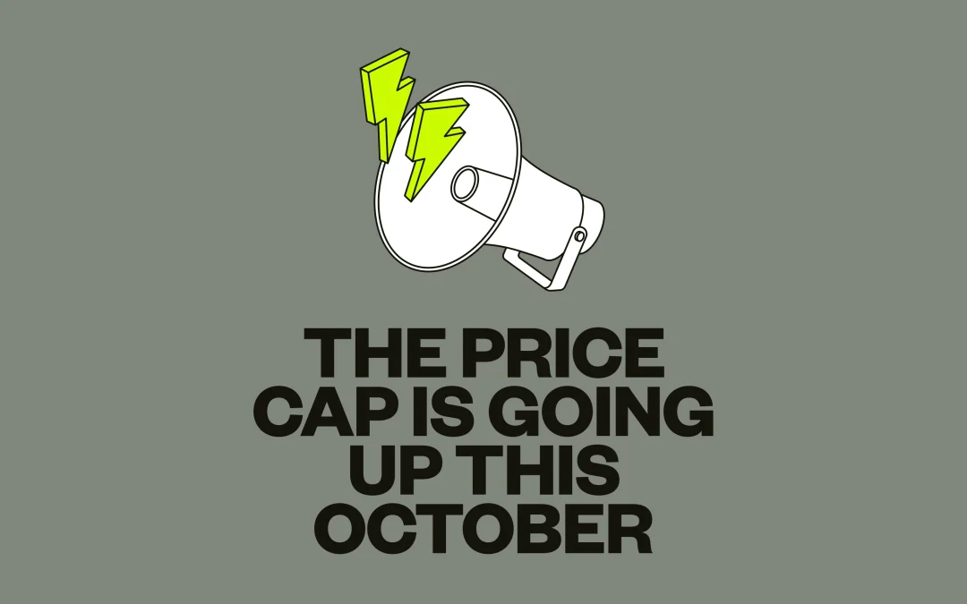 Octopus Price Cap Referral