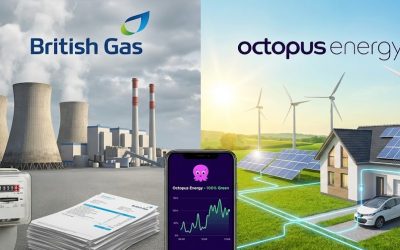 Octopus Energy vs. British Gas: The Ultimate 2025 Price Showdown